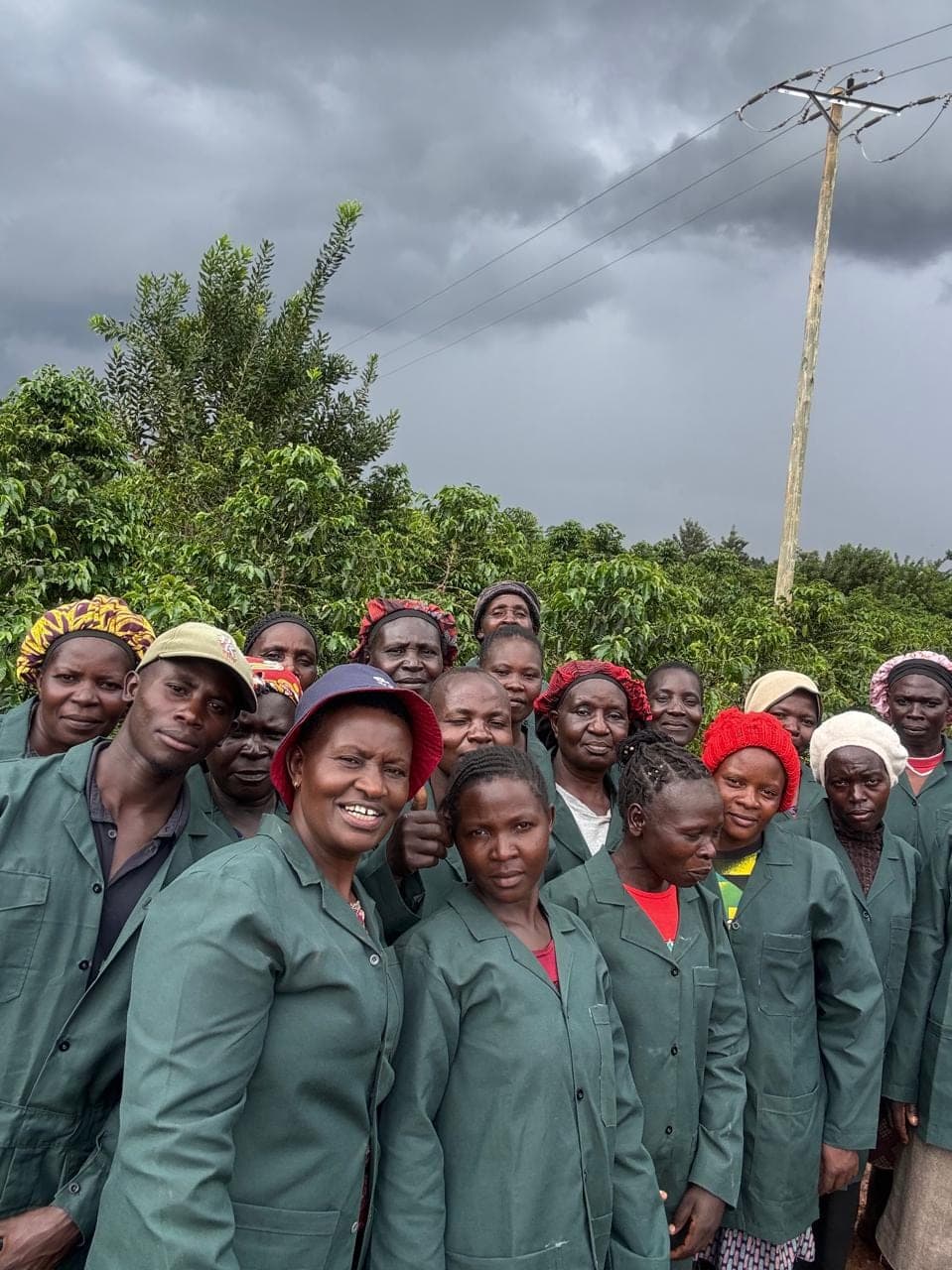 The Ruguru team in green work coats in front of the coffee rows